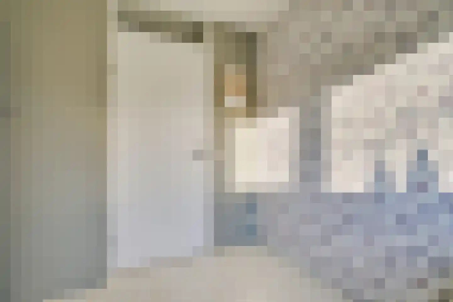 Dorsvlegel 36 Warmenhuizen thumbnail 24