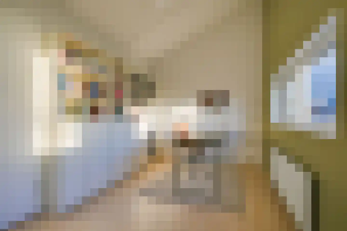 Dorsvlegel 36 Warmenhuizen thumbnail 34