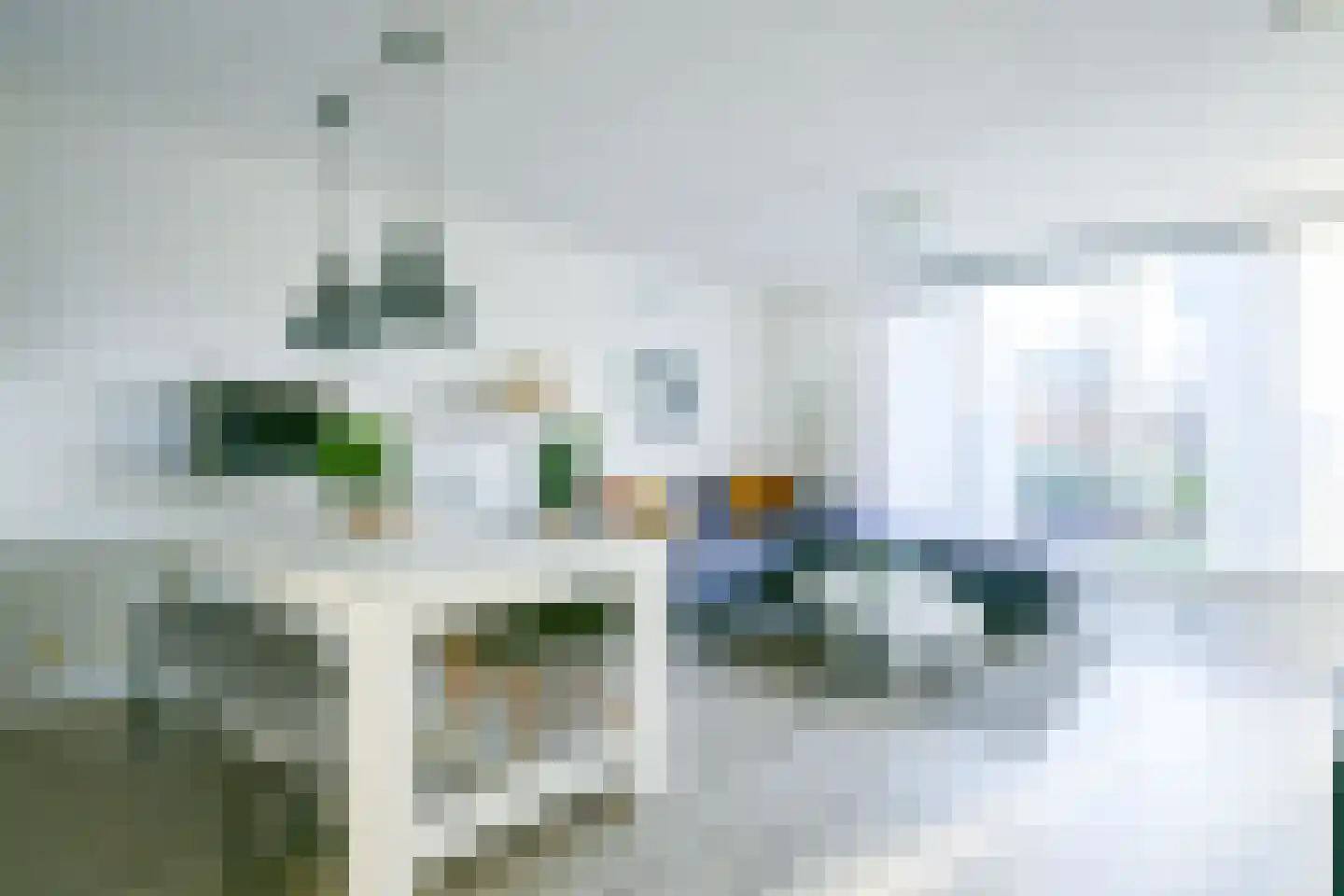 Dorsvlegel 36 Warmenhuizen thumbnail 8
