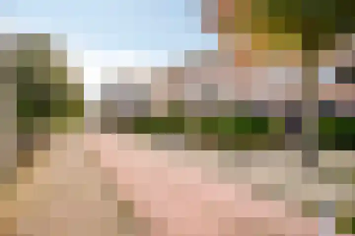 Dorsvlegel 37 Soest thumbnail 23