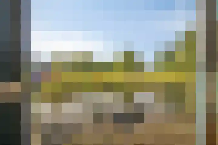 Dorsvlegel 37 Soest thumbnail 8