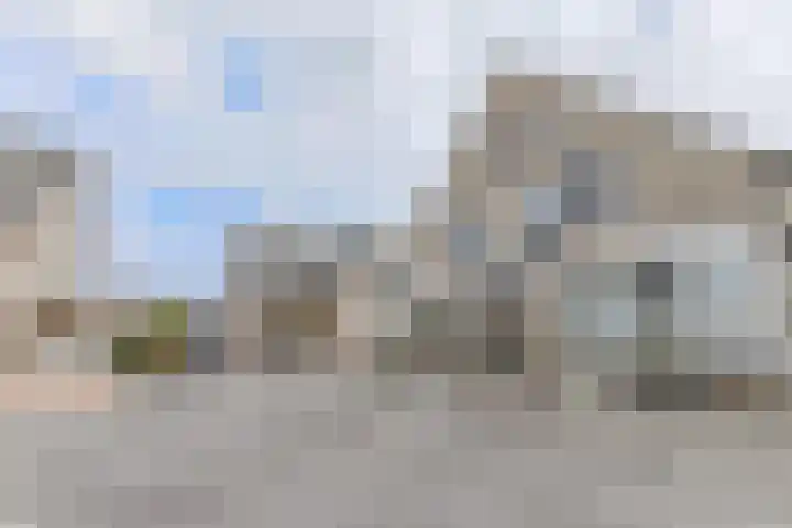Dorsvlegel 46 Bovenkarspel thumbnail 11
