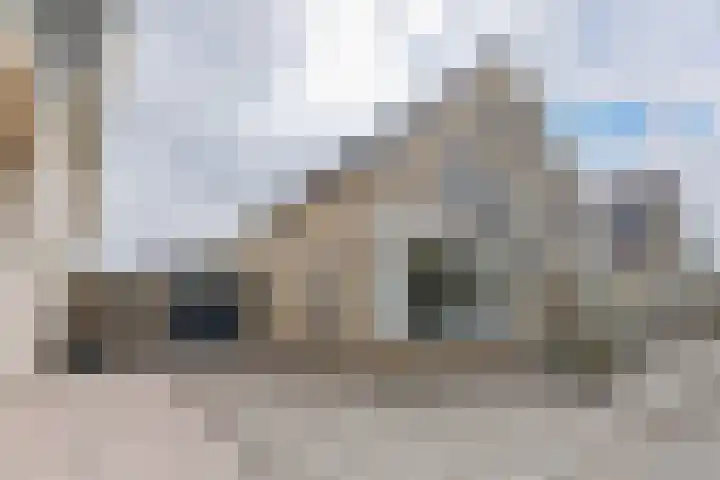 Dorsvlegel 46 Bovenkarspel thumbnail 12