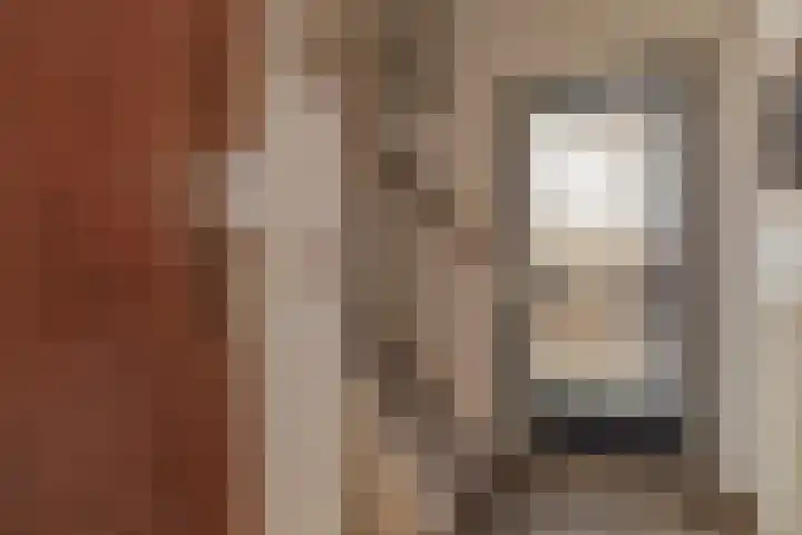Dorsvlegel 46 Bovenkarspel thumbnail 25