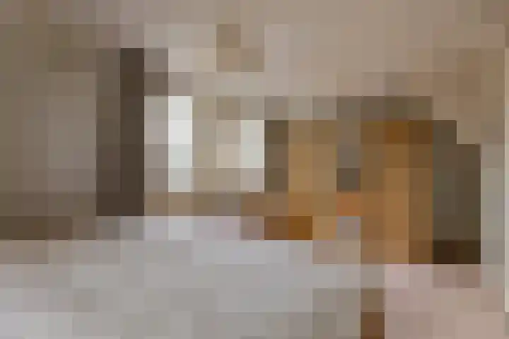 Dorsvlegel 46 Bovenkarspel thumbnail 27