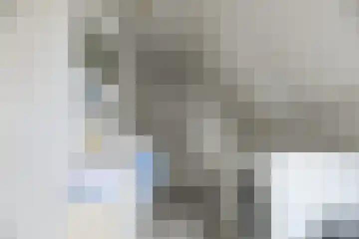 Dorsvlegel 46 Bovenkarspel thumbnail 30