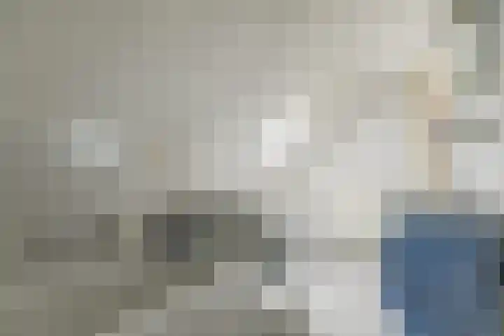 Dorsvlegel 46 Bovenkarspel thumbnail 31