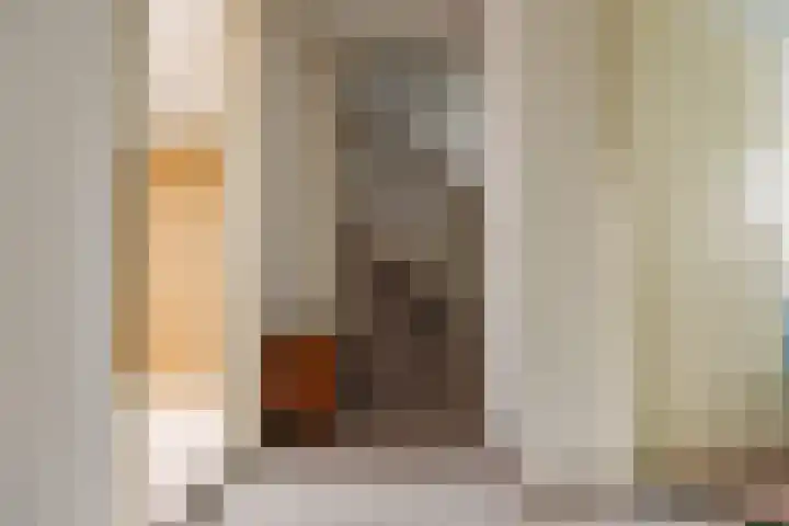 Dorsvlegel 46 Bovenkarspel thumbnail 32