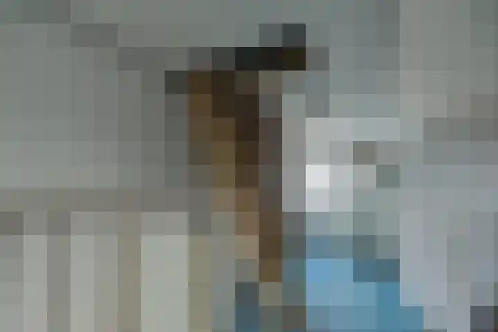 Dorsvlegel 46 Bovenkarspel thumbnail 35