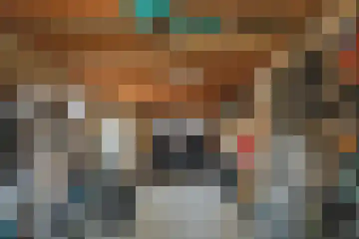 Dorsvlegel 46 Bovenkarspel thumbnail 36