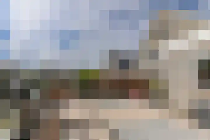 Dorsvlegel 46 Bovenkarspel thumbnail 39