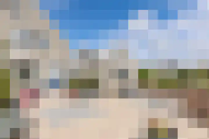 Dorsvlegel 46 Bovenkarspel thumbnail 4
