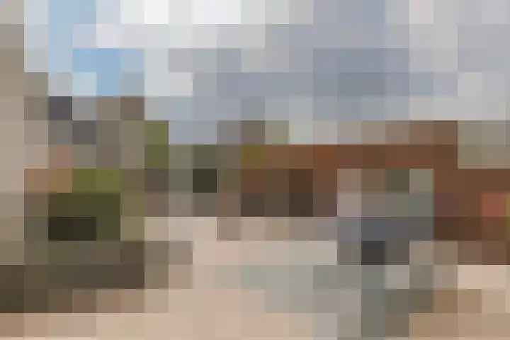 Dorsvlegel 46 Bovenkarspel thumbnail 40