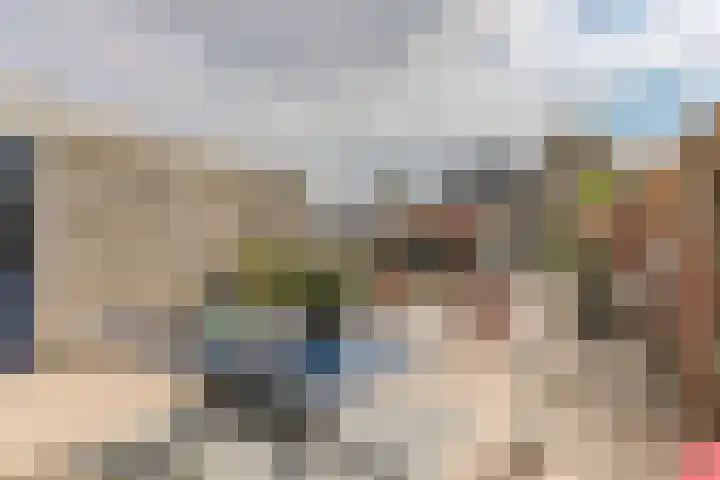 Dorsvlegel 46 Bovenkarspel thumbnail 41
