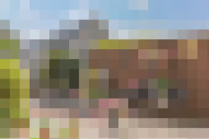 Dorsvlegel 46 Bovenkarspel thumbnail 42
