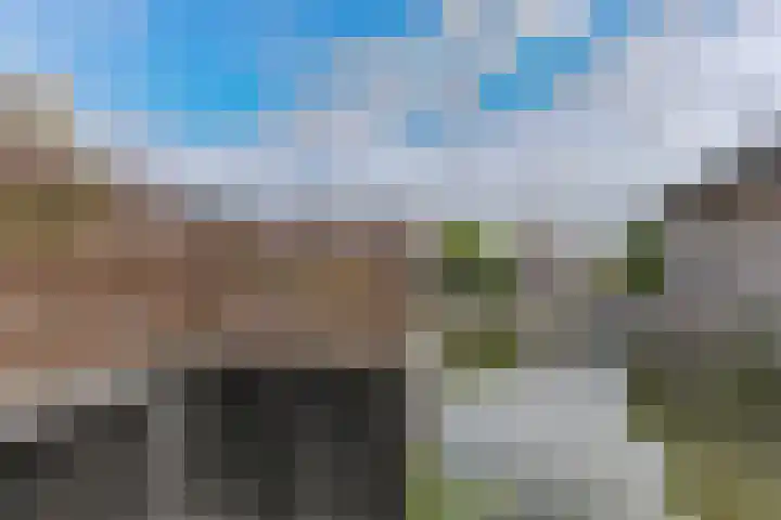 Dorsvlegel 46 Bovenkarspel thumbnail 43