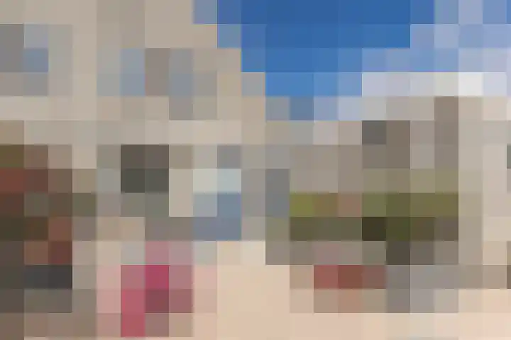 Dorsvlegel 46 Bovenkarspel thumbnail 44