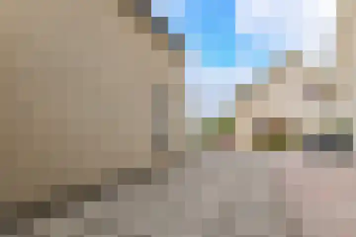 Dorsvlegel 46 Bovenkarspel thumbnail 45