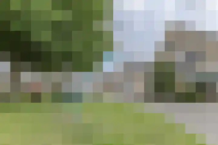 Dorsvlegel 46 Bovenkarspel thumbnail 46