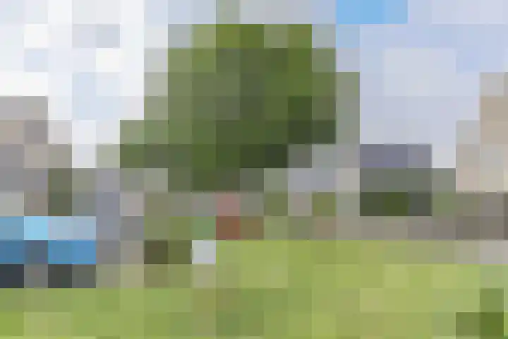 Dorsvlegel 46 Bovenkarspel thumbnail 47