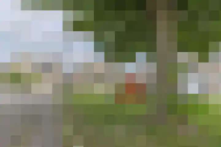 Dorsvlegel 46 Bovenkarspel thumbnail 48