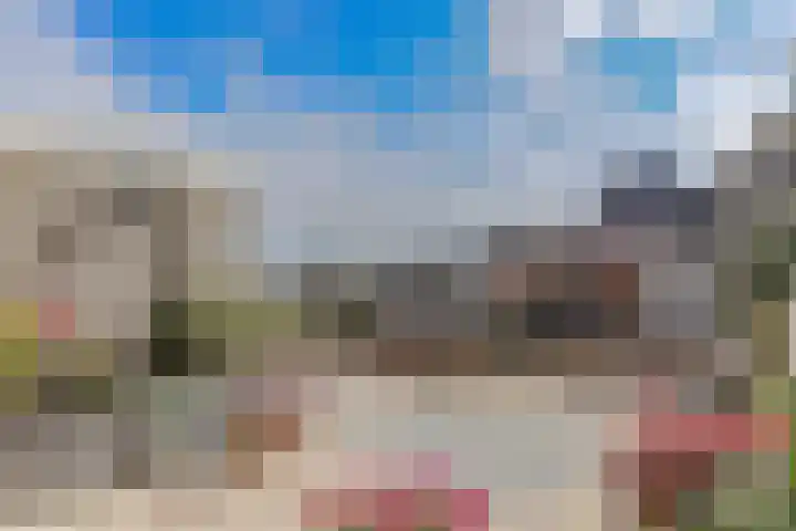Dorsvlegel 46 Bovenkarspel thumbnail 5