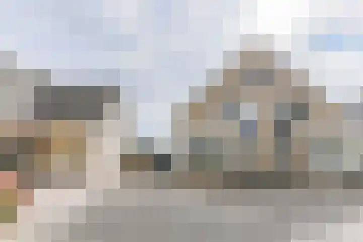 Dorsvlegel 46 Bovenkarspel thumbnail 56