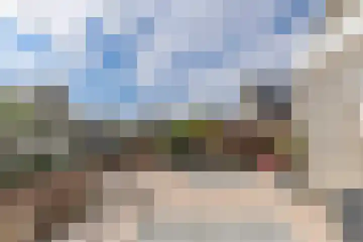 Dorsvlegel 46 Bovenkarspel thumbnail 6