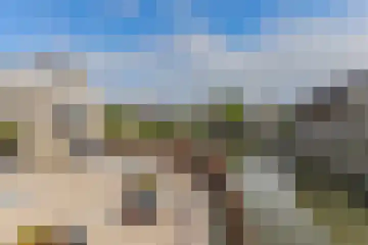 Dorsvlegel 46 Bovenkarspel thumbnail 7