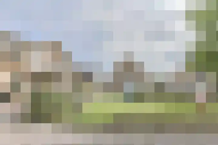 Dorsvlegel 46 Bovenkarspel thumbnail 9