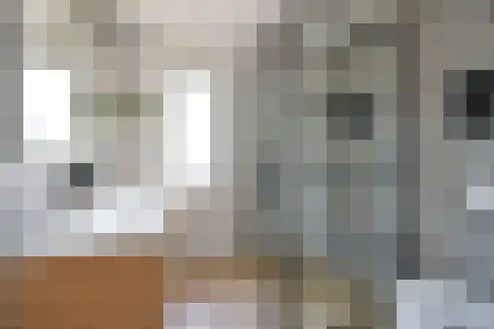Dorsvlegel 55 Soest thumbnail 20