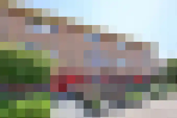 Dorsvlegel 55 Soest thumbnail 21