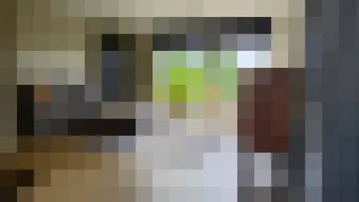 Dorsvlegel 55 Soest thumbnail 6