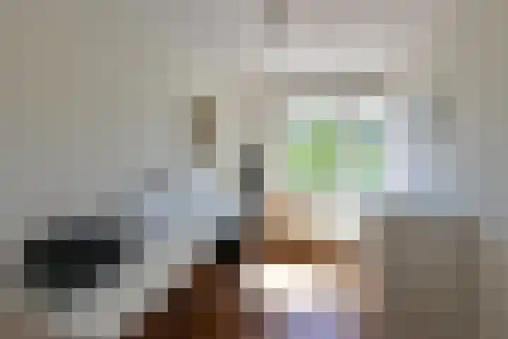 Dorsvlegel 71 Soest thumbnail 11