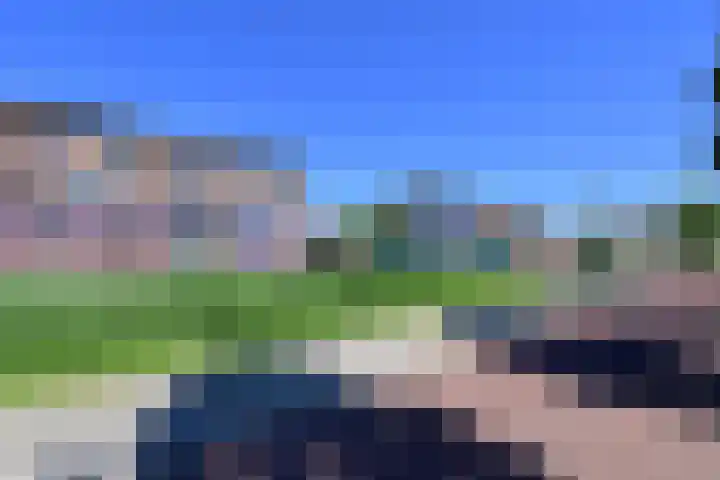 Dorsvlegel 71 Soest thumbnail 4