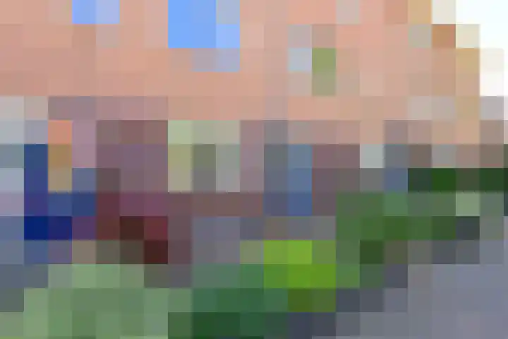 Dorsvlegel 71 Soest thumbnail 5