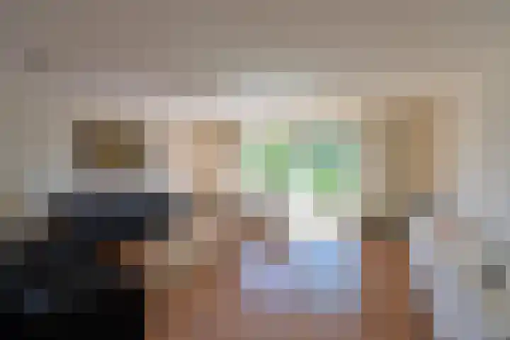 Dorsvlegel 71 Soest thumbnail 7