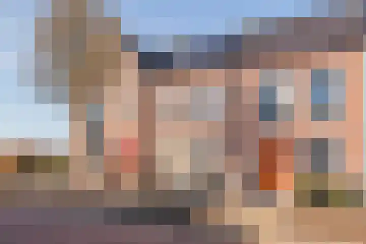 Dorsvlegel 8 Meteren