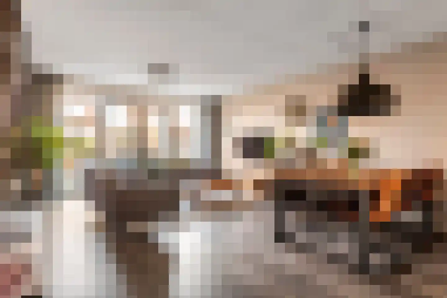 Dorsvlegel 8 Meteren thumbnail 10