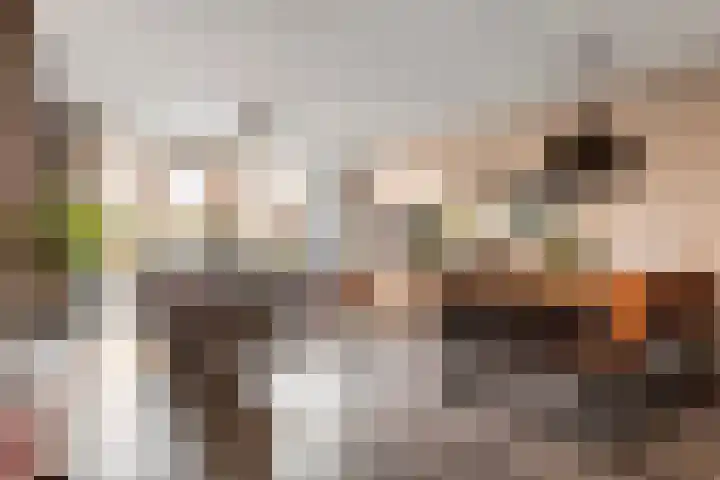 Dorsvlegel 8 Meteren thumbnail 10