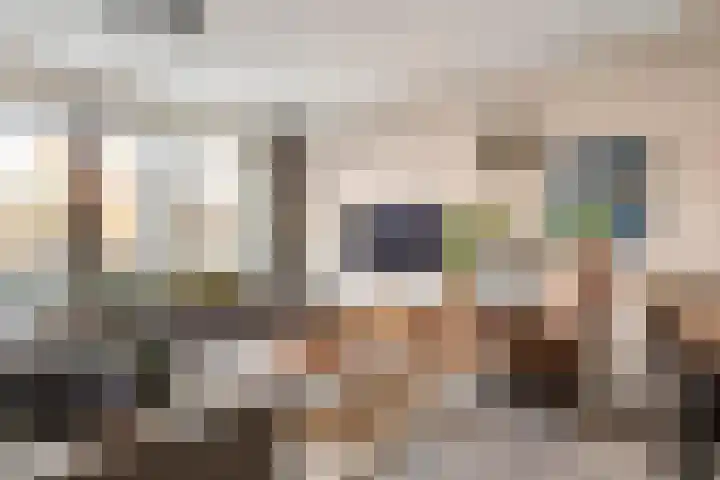 Dorsvlegel 8 Meteren thumbnail 11