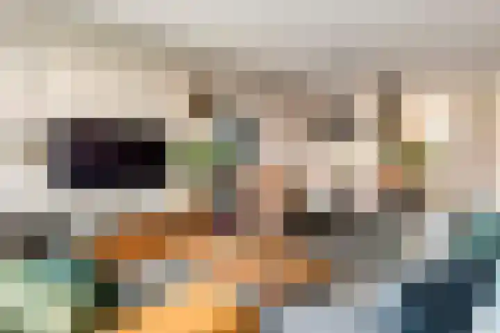 Dorsvlegel 8 Meteren thumbnail 12