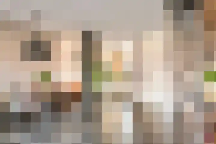 Dorsvlegel 8 Meteren thumbnail 13