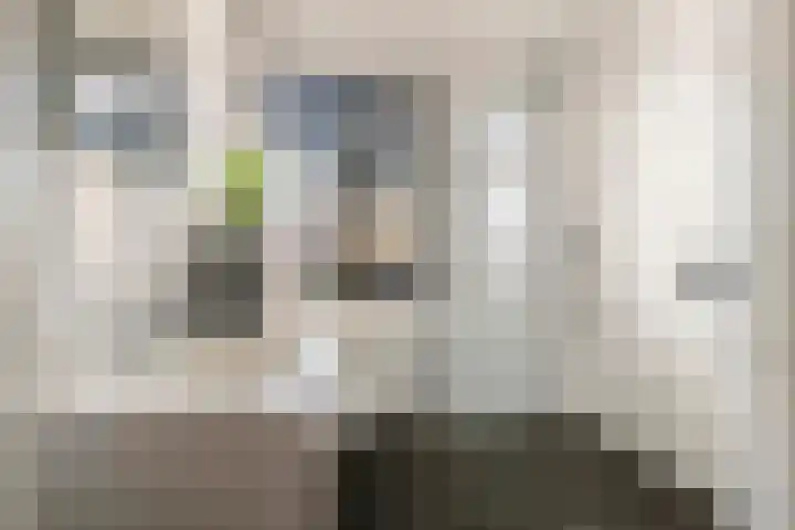 Dorsvlegel 8 Meteren thumbnail 19