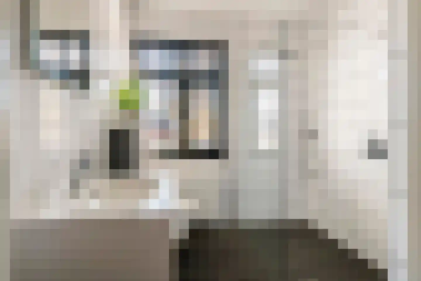 Dorsvlegel 8 Meteren thumbnail 19