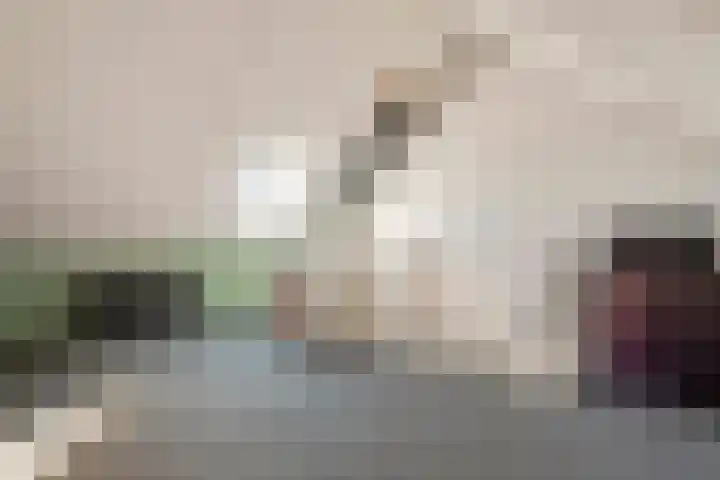 Dorsvlegel 8 Meteren thumbnail 21