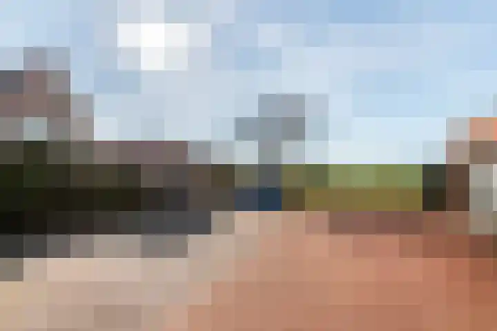 Dorsvlegel 8 Meteren thumbnail 22