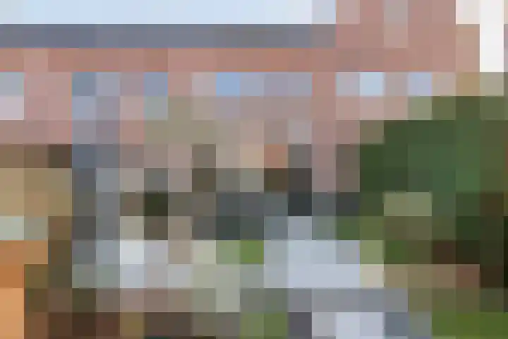 Dorsvlegel 8 Meteren thumbnail 23
