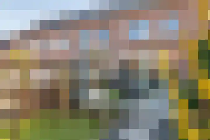 Dorsvlegel 8 Meteren thumbnail 24