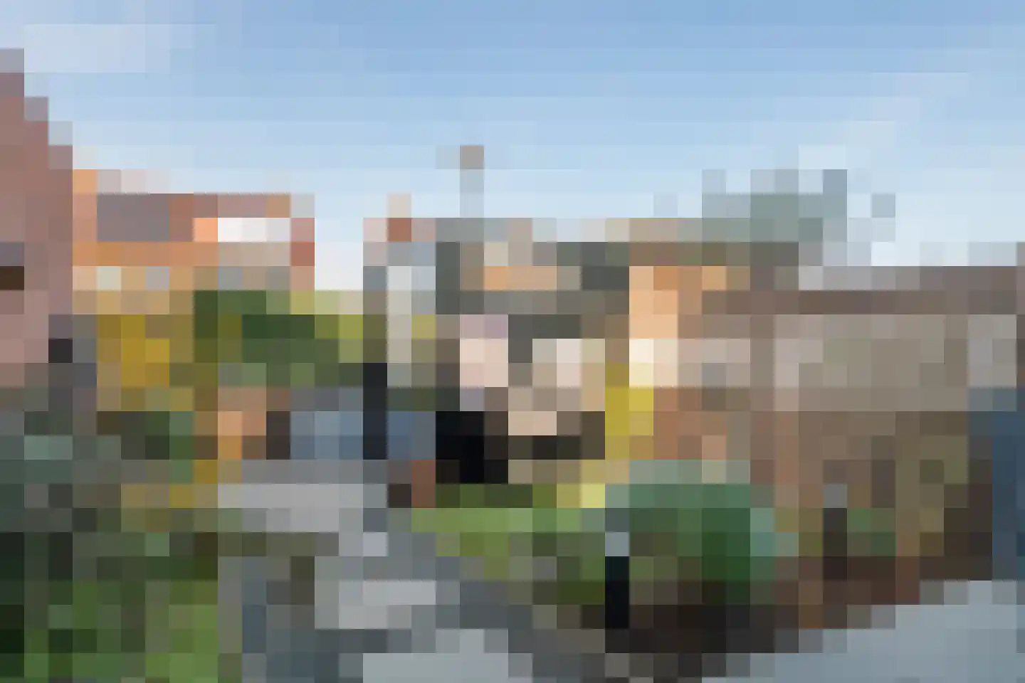 Dorsvlegel 8 Meteren thumbnail 25